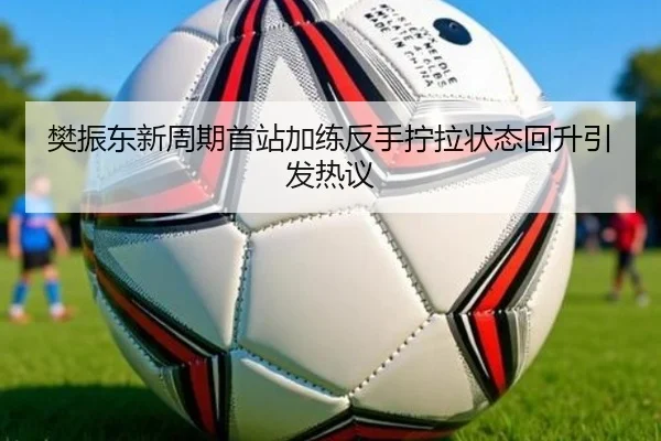 樊振东新周期首站加练反手拧拉状态回升引发热议 - DAFA.COM