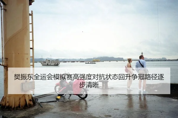 樊振东全运会模拟赛高强度对抗状态回升争冠路径逐步清晰 - DAFA.COM